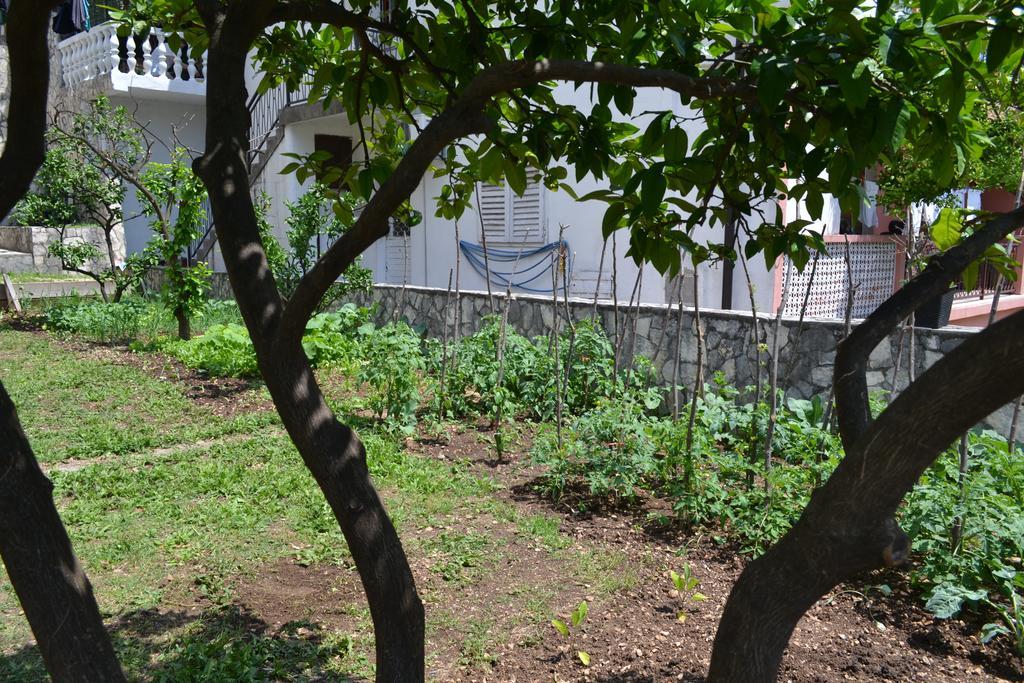 Apartments Villa Marta - Begovic コトル エクステリア 写真